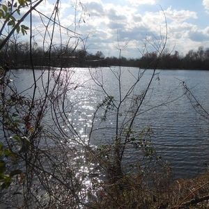 Meet your Posher, Janelle